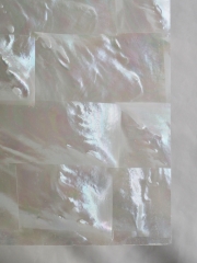 貝殻シート#18 ホワイトパール【14×24cm 厚さ0.18-0.2mm 】En: Shell veneer -white peal 貝殻