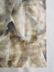 貝殻シート#23 ブラックリップ（クロチョウガイ）【14×24cm 厚さ0.18-0.2mm 】En: Shell veneer -black lip 貝殻