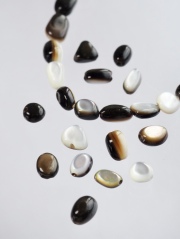 シェルビーズ-さざれ(クロチョウガイ)【約6～7mm(約10cm・約14個)】[メール便可]まとめ買い10%OFF #1346 En:Shell beads -Black MOP 貝殻