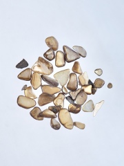 シェルフレーク ブラウン(淡水真珠貝)【約3～10mm(約2g)】#2052[メール便可]まとめ買い20%OFF 貝殻