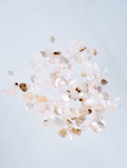 シェルフレーク ペールピンク(淡水真珠貝)【約3～10mm(約2g)】#2054[メール便可]まとめ買い20%OFF 貝殻