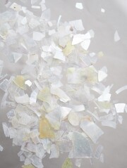 シェルフレーク(シロチョウガイ)【約3～10mm(約10g)】#1276[メール便可]まとめ買い20%OFF 貝殻