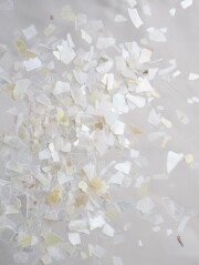 シェルフレーク(シロチョウガイ)【約2～7mm(約10g)】#1278[メール便可]まとめ買い20%OFF 貝殻
