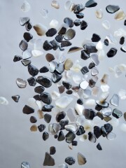 シェルフレーク(クロチョウガイ)【約3～7mm(約10g)】#1280[メール便可]まとめ買い20%OFF 貝殻