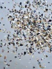 シェルフレーク(パウアアバロン)【約1～3mm(約10g)】#1282[メール便可]まとめ買い20%OFF 貝殻