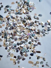 シェルフレーク(パウアアバロン)【約3～5mm(約10g)】#1283[メール便可]まとめ買い20%OFF 貝殻