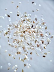 シェルフレーク(淡水真珠貝)【約2～4mm(約10g)】#1285[メール便可]まとめ買い20%OFF 貝殻