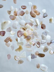 シェルフレーク(淡水真珠貝)【約4～10mm(約10g)】#1287[メール便可]まとめ買い20%OFF 貝殻