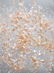 シェルフレーク(ピンク)アコヤガイ【約1～2mm(約2g)】#2039[メール便可]まとめ買い20%OFF 貝殻
