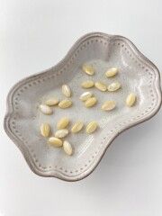 タカセガイ - オーバルビーズ【約8×4mm/約13個・約10cm】[メール便可]まとめ買い10%OFF #288 En:Trocus - Shell Beads 貝殻
