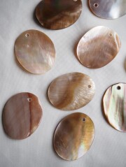 貝　まとめ売り 新発売】煮貝スタンドパウチシリーズ6品のお知らせ | 株式会社かいや