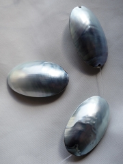 シェルビーズ- パールブルーシェル#105【約3.5cm/1個】[メール便可]まとめ買い10%OFF - Not for overseas sale - 貝殻