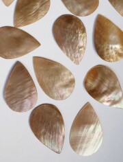 ティアドロップ-55-（マベ）通し穴なし【約2.5cm/1枚】[メール便可]まとめ買い10%OFF 貝殻