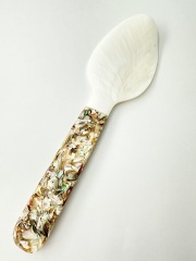 シェルスプーン #3029【23ｃｍ前後】1本　 En:Shell Spoon (size:approx.23cm)