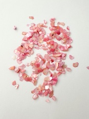 シェルフレーク(ピンク)アコヤガイ【約2～5mm(約2g)】#2074[メール便可]まとめ買い20%OFF 貝殻