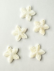 シェルビーズ-ヒトデ(淡水真珠貝)【約25mm/1個】[メール便可]まとめ買い10%OFF #1039 En:Shell beads -Freshwater pearl MOP 貝殻