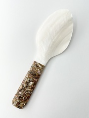 シェルスプーン #3037【21ｃｍ前後】1本　 En:Shell Spoon (size:approx.21cm)