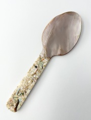 シェルスプーン #3038【23ｃｍ前後】1本　 En:Shell Spoon (size:approx.23cm)