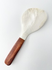 シェルスプーン #3039【21ｃｍ前後】1本　 En:Shell Spoon (size:approx.21cm)