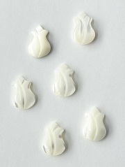 シェルビーズ-チューリップ片穴(タカセガイ)【約9×13mm/1個】[メール便可]まとめ買い10%OFF #2093 En: Trocus - Shell Beads 貝殻