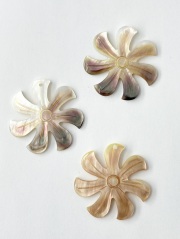 シェルパーツ - ファン(クロチョウガイ)【約32mm/1個】[メール便可] まとめ買い10%OFF #2118 En:-Shell parts -Black MOP 貝殻