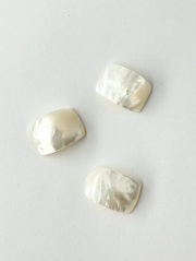 希少　オーストラリア産　加工前　シロチョウガイ シロチョウガイ 磨き【約12～14cm】 En: White MOP poished