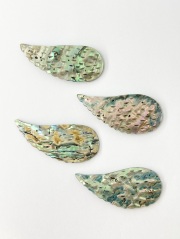 シェルパーツ-翼(パウアアバロン)【約27×57mm/1個】[メール便可]まとめ買い10%OFF #2155 En:Shell parts -Haliotis iris 貝殻