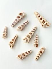 カットシェル キリガイダマシ(四面カット)【約2.5～4.5cm/3個】[メール便可]  En: Shell Cut, Turiterra Terebra(Size:2.5-4.5cm, per 3pcs) 貝殻