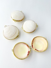 貝殻の小物入れ