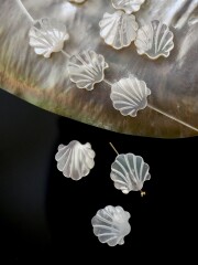シェルビーズ - ホタテ(シロチョウガイ)【約12mm/1個】[メール便可]まとめ買い10%OFF #214 En:Shell Beads -White MOP- 貝殻