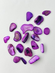 シェルフレーク バイオレット(淡水真珠貝)【10～20mm程度(約10g)】#2082[メール便可]まとめ買い20%OFF 貝殻