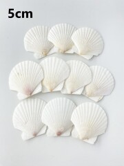 ホタテガイ【約5ｃｍ/10枚】[メール便可-12袋まで]En: Japanese Scallop(size:5cm, per 10pcs) 貝殻