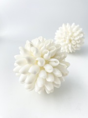 シェルボール/バブル【直径約7～8ｃｍ/1個】 En: Shell ball, bubbles shell (size:7-8cm, per 1pc)