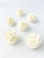 シェルボール/ホワイトカイカイアップ【直径約5ｃｍ/1個】 En: Shell ball, white cay cay (size:5cm, per 1pc)