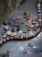 オイスター#13【約0.3～0.6ｃｍ/1本約40ｃｍ】[メール便可-10袋まで]   En:  Shell accesorry Black oyster (Size:0.3-0.6cm, per 1strand-40cm) 貝殻