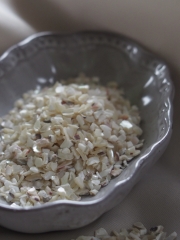 クラッシュシェル - タカセガイ【約2～3ｍｍ/約500ｇ】 En:  Shell chip -Trocus (size:2-3mm, per 500g) 貝殻