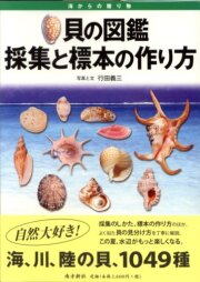 【図鑑】貝の図鑑　採集と標本の作り方