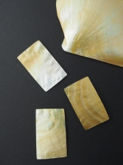 真珠貝プレート -　シロチョウガイ(長方形)【約3.5ｃｍ×5ｃｍ/1枚】[メール便可]   En: Shell Rectangle Cut, white MOP (size:3.5*5cm, per 1pc) 貝殻