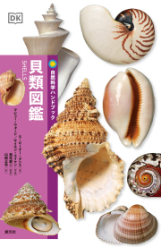 貝類図鑑 Amazon.co.jp: 日本近海産貝類図鑑 第二版 : 奥谷 喬司, 奥谷