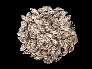 ナサリウス【約1.5～2.0ｃｍ/50ｇ】[メール便可-5袋まで]   En: Nasarius(Size:1.5-2cm, per 50g) 貝殻