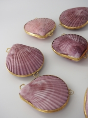 貝殻の小物入れ-ヒオウギガイ紫系-【6cm前後/1個】 En:  Shell coin purse -Pecten Nobilis purple- (size:approx.6cm, per 1pcs)