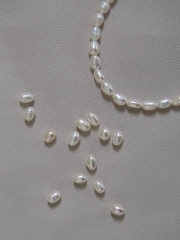 淡水パール -ライス小-両穴（通し穴）【約3.0×4.0mm】#500[メール便可] 貝殻