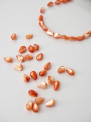 シェルビーズ - ティアドロップ(タカセガイ)レッド【約5×8mm前後/約39cm(約50個)】[メール便可] #47 En:Troca Shell - Shell Beads(size:5×8mm・39cm(50pcs)/strand 貝殻