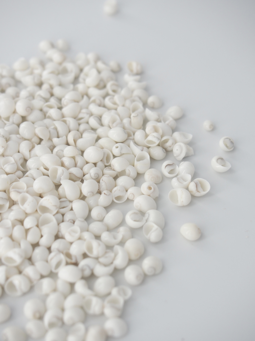 モンゴスホワイト(クサイロカノコ)【約0.3～0.5cm】[メール便可-500gまで]En:  Mongos -white- (size:0.3～0.5cm)
