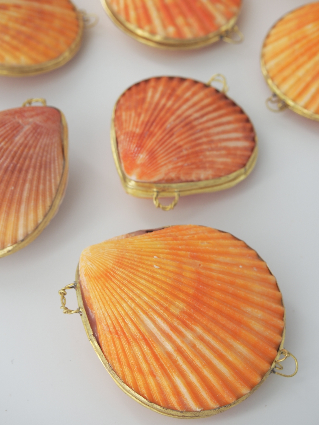 貝殻の小物入れ-ヒオウギガイオレンジ-【6cm前後/1個】 En:  Shell coin purse -Pecten Nobilis orange- (size:approx.6cm, per 1pcs)