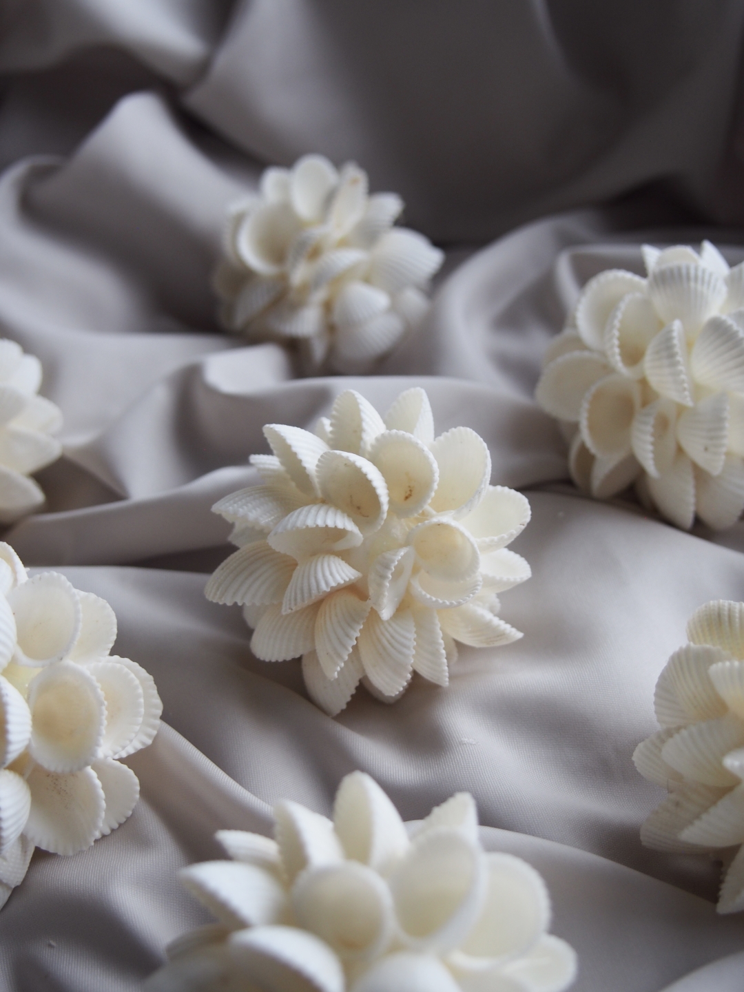 シェルボール/クラムローズ【直径約5ｃｍ/1個】 En: Shell ball, clam rose (size:5cm, per 1pc)