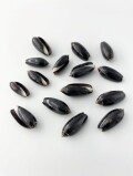 クロマクラガイ【約2～3.5ｃｍ/10個入】[メール便可]  En: Black Olive(size:2-3.5cm, per 10pcs)  