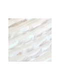 貝殻シート#35 ターバンシェル【4×4cm 厚さ0.18-0.2mm 】[メール便可] En: Shell veneer -turbo shell