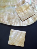 真珠貝プレート - シロチョウガイ(正方形)【約3.5ｃｍ×3.5ｃｍ/1枚】[メール便可60枚]   En: Shell Square Cut, white MOP (size:3.5*3.5cm, per 1pc)