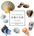 【図鑑】子どもと一緒に覚えたい貝殻の名前